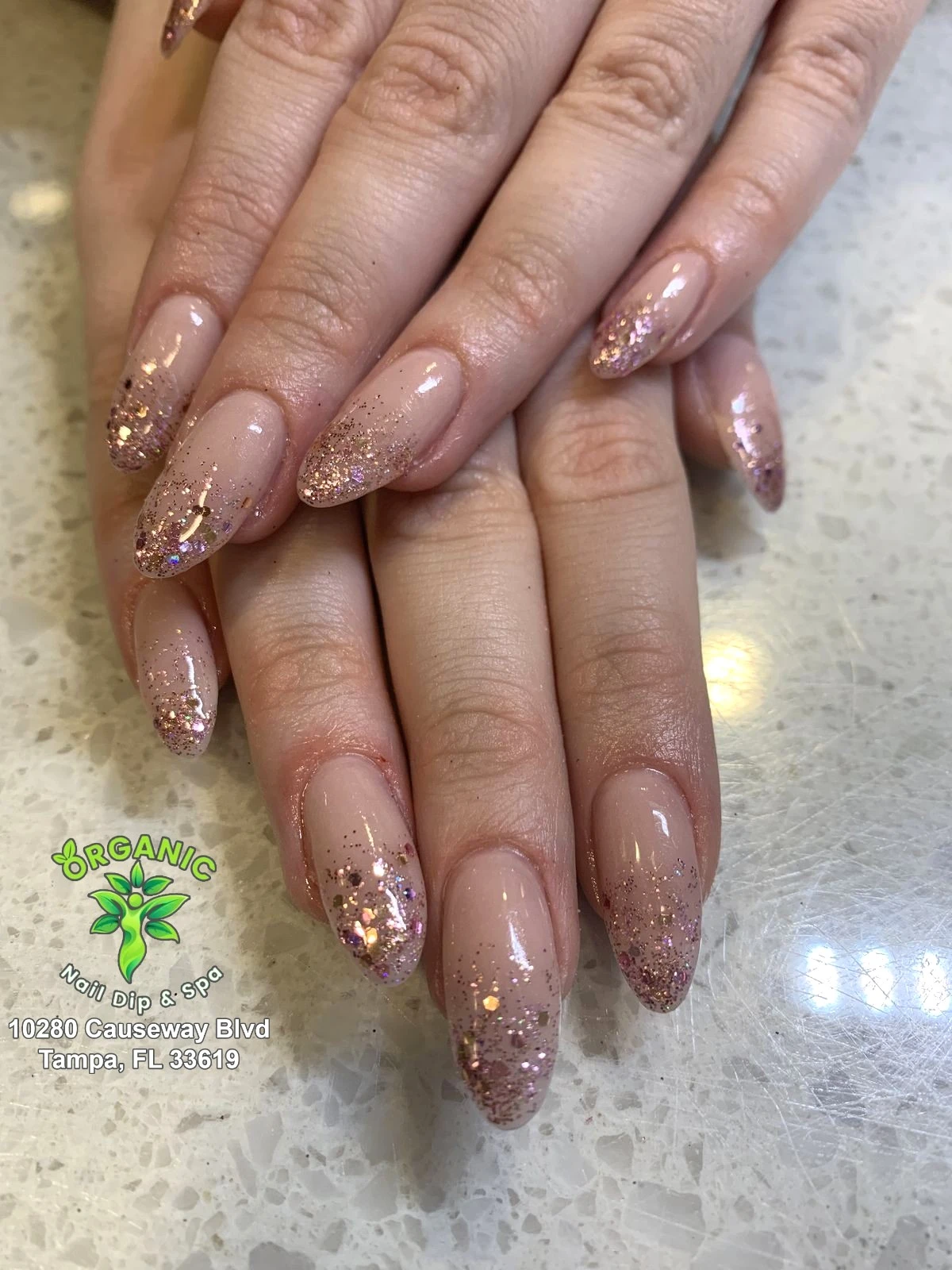 Organic Nail Dip and Spa in Tampa, FL 33619